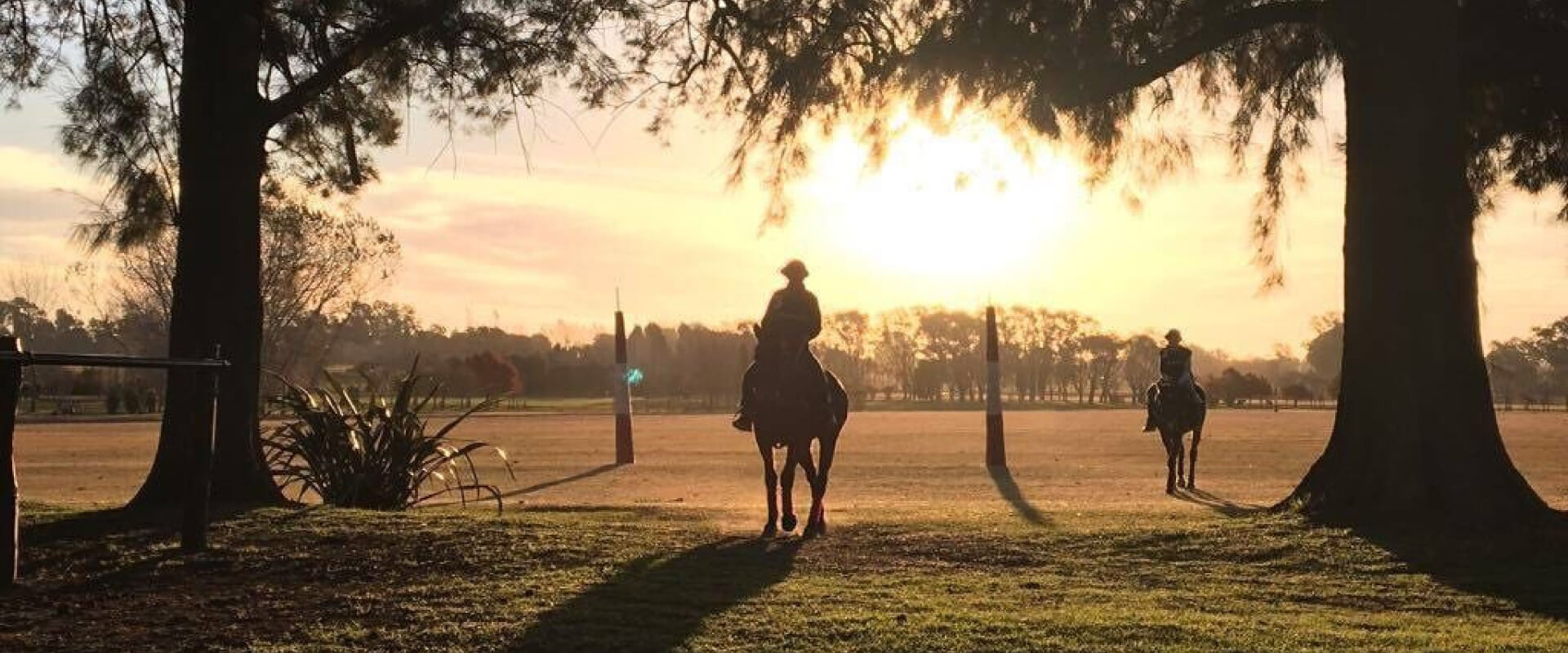 Be a Polo Player for A Day